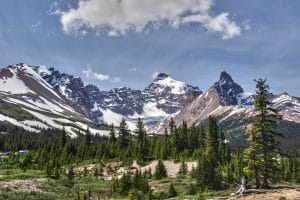 payday loans alberta